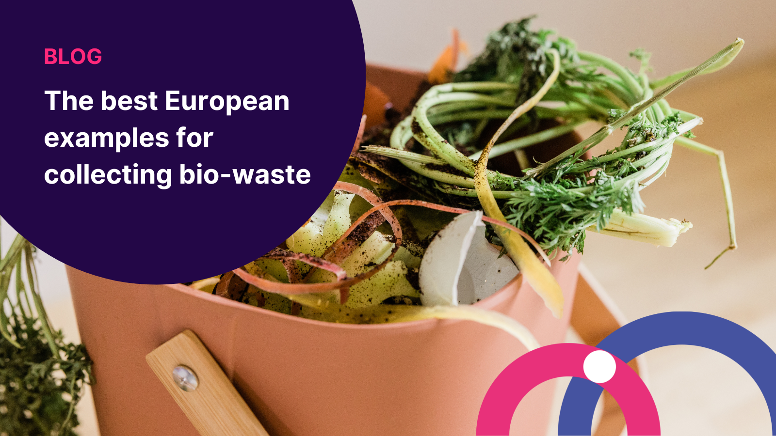 The best European examples for collecting bio-waste | Blog MiZA